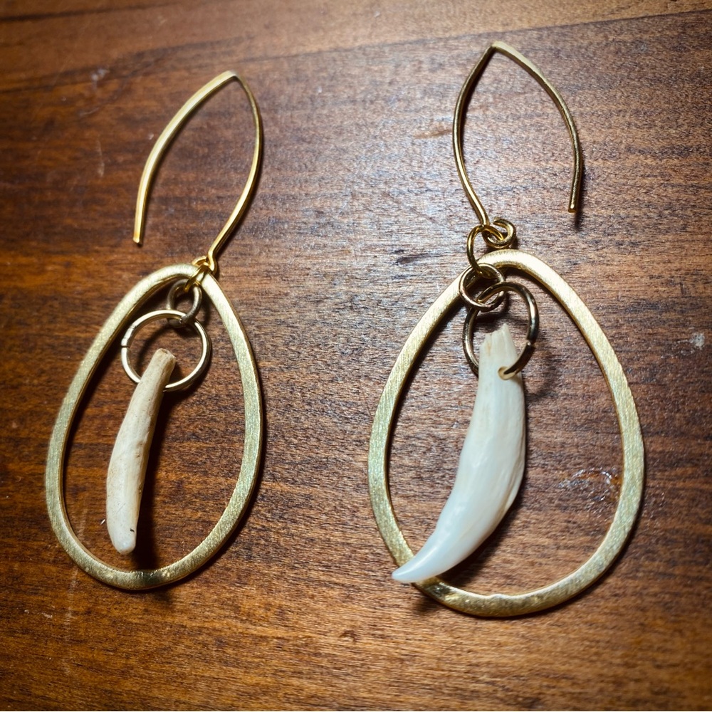 Real Possum Teeth Teardrop Earrings